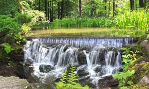 Malowniczy park w Żywcu z kaskadą wodospadu, bujną zielenią i spokojną taflą wody.
