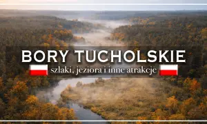 Mglisty poranek nad lasami Bory Tucholskie. Ciekawostki o szlakach, jeziorach i atrakcjach tego pięknego regionu.