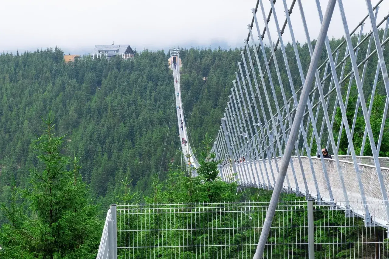 Długi wiszący most Sky Bridge 721 przecina gęsty las, oferując spacerującym ludziom widok na zielone wzgórza i budynek na szczycie.