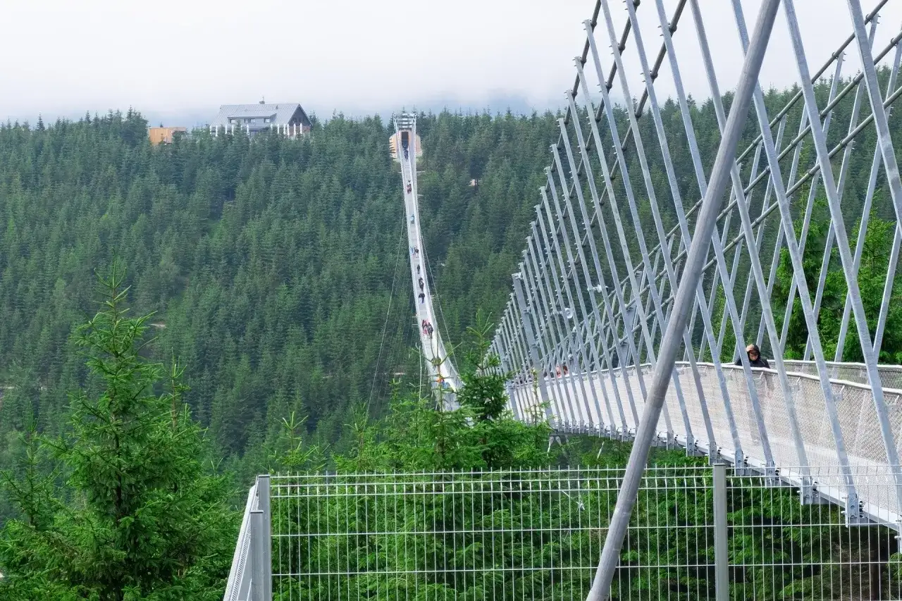 Długi wiszący most Sky Bridge 721 przecina gęsty las, oferując spacerującym ludziom widok na zielone wzgórza i budynek na szczycie.